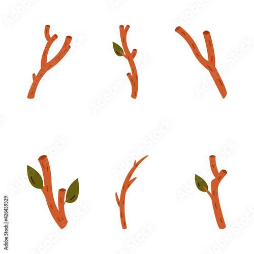 Branches of trees isolated on a white background. Vector illustration