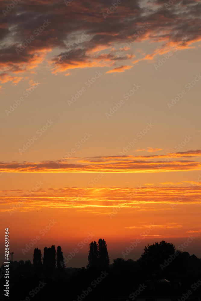 Orange sunset with clouds and trees in italy