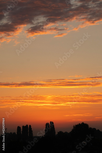 Orange sunset with clouds and trees in italy