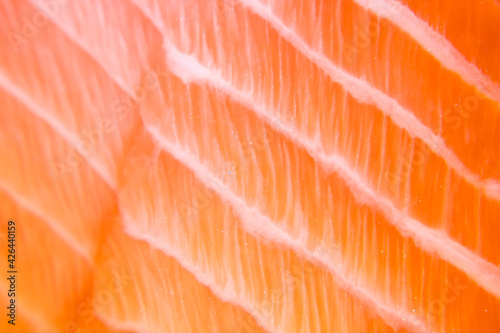 Close-up texture of fresh salmon fillet.Abstract background