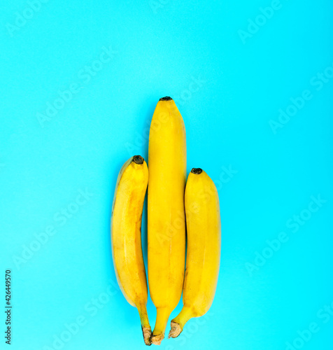 Top view. Three yellow bananas on a blue background. One of the bananas is longer than the others. Size matters. A phallic symbol is a concept. photo