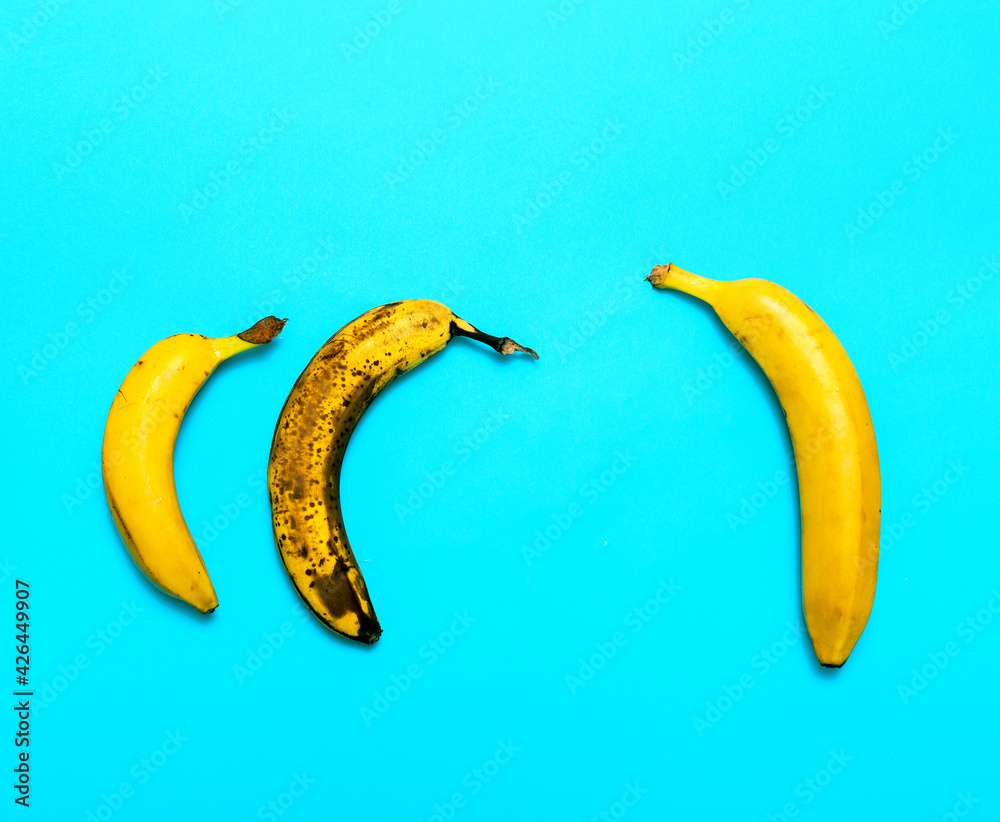 Group of bananas on blue background. Top view. One of the bananas is older than the others. Bananas of different degrees of maturation. Group of bananas on blue background. Top view. One of the bananas is older than the others. Bananas of different degrees of maturation.