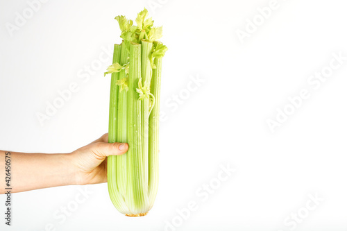 Fresh celery at arm's length. on a white background. photo