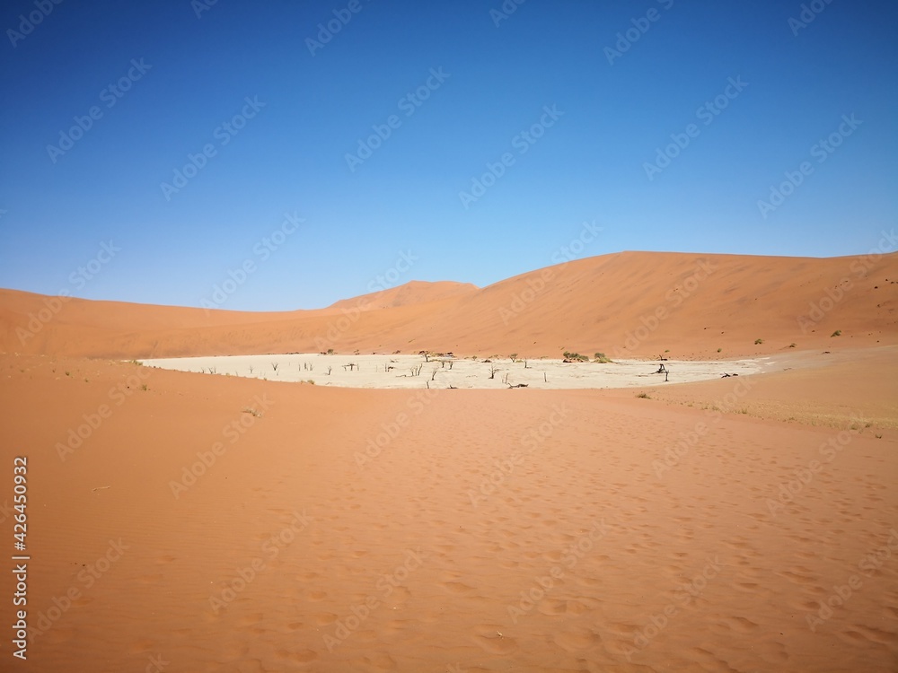 panorama view of dead vlei in namib desert with no people