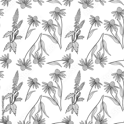 Vector seamless pattern with contour plants, herbs and flowers for fabrics, paper, textile, gift wrap isolated on white background 