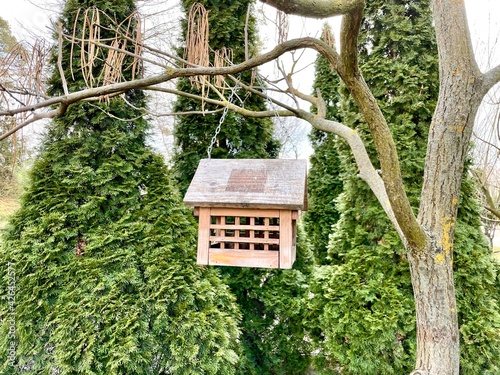 A woody birdhouse hangs on a tree in the park and waits for the birds to visit. Handmade birdhouse. Birds can always eat if they are hungry. Birds rescue.