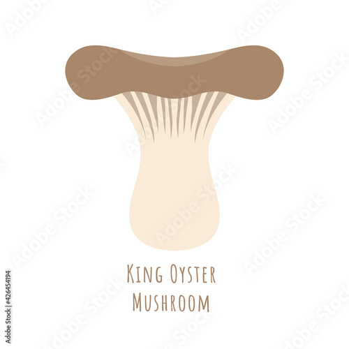 Single king oyster mushroom isolated on white