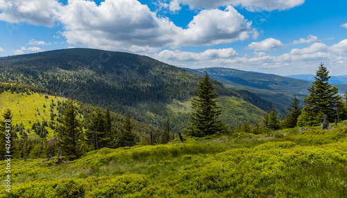 Panorama of Giant Mountains next to trail to Sniezka