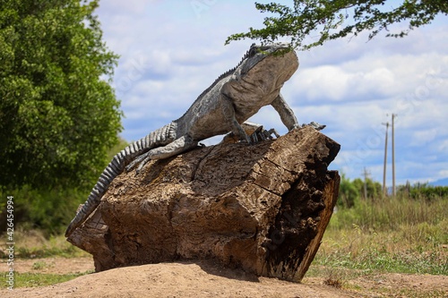 Sculptures of giant iguanas at the entrance to the town , one of the Yaquis communities in  Mexico. town of iguanas.  photo