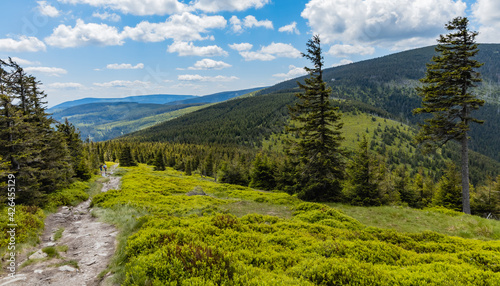 Wallpaper Mural Long mountain trail with panorama if Karkonosze Giant Mountains around Torontodigital.ca