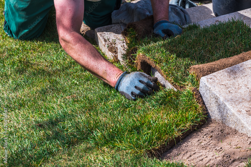 Man cutting off the protruding edge of the newly laid turf on stone stairs in a garden Man cutting off the protruding edge of the newly laid turf on stone stairs in a garden