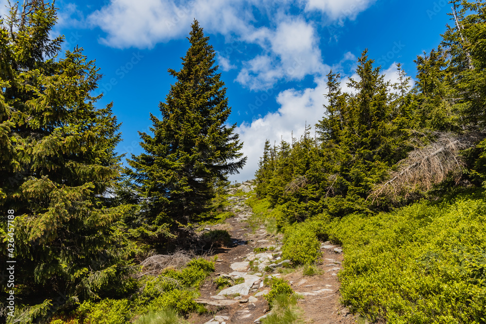 Long mountain trail with panorama if Karkonosze Giant Mountains around Long mountain trail with panorama if Karkonosze Giant Mountains around
