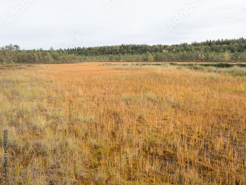 Flark fen surrounding a lake