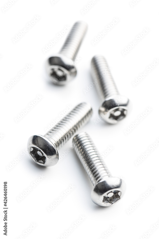 Stainless steel torx screws. Stainless steel torx screws.