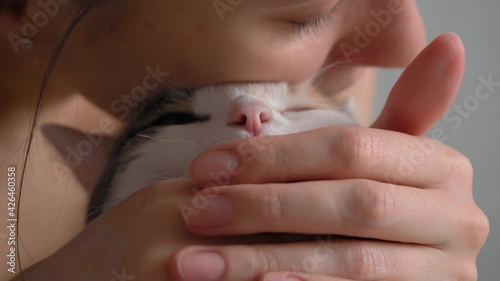 The cat is held in his arms, hugged and kissed on the top of the head. close-up