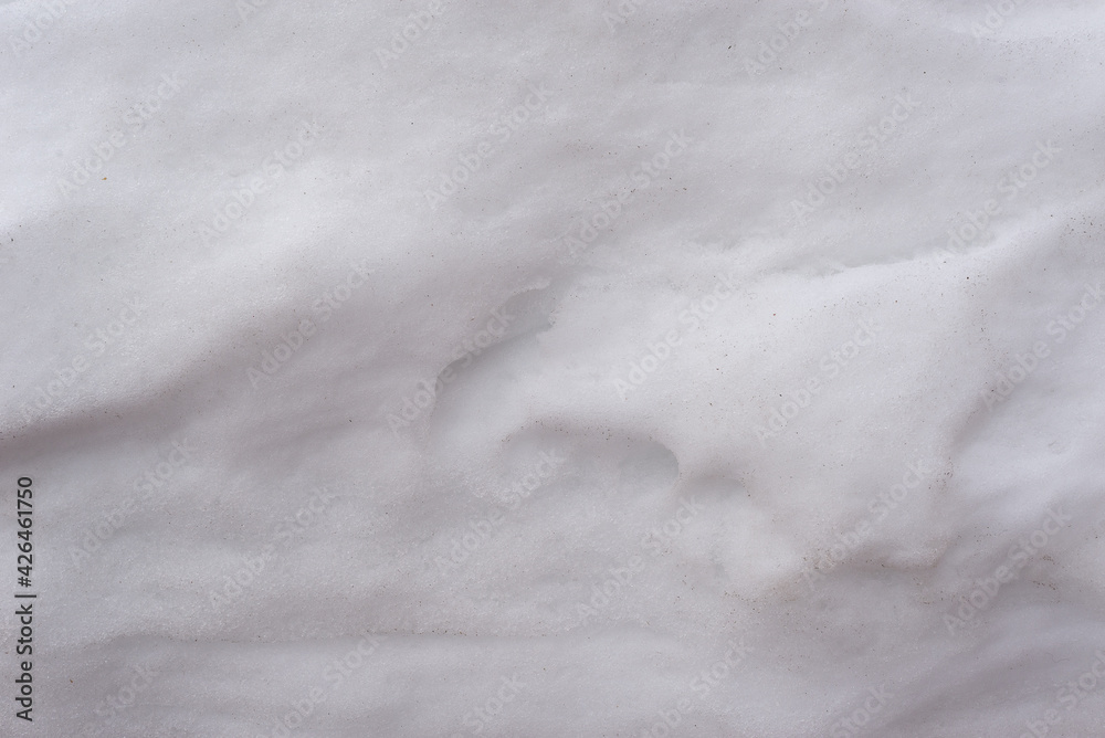 Obraz premium Melt snow in early spring.