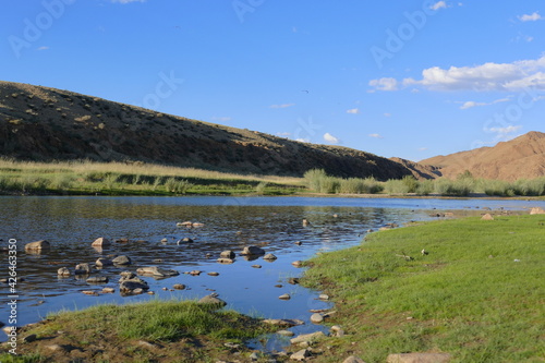Beautiful landscape of Mongolia. Summer nature with grass and flowers.