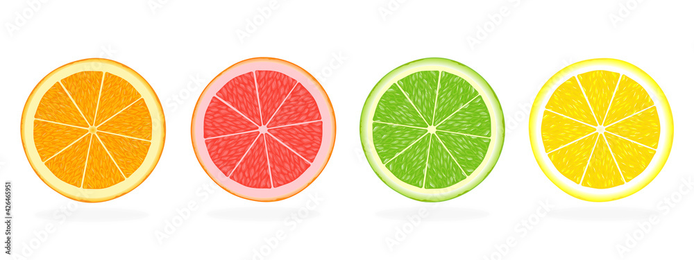 Citrus fruit slices of orange, grapefruit, lime and lemon isolated on white background