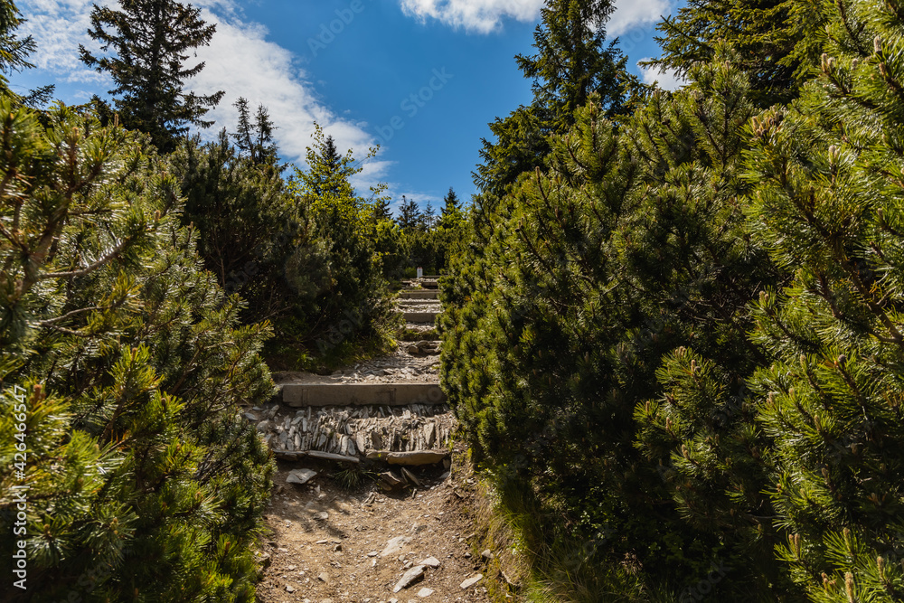 Long mountain trail full of stony stairs with panorama if Karkonosze Giant Mountains around
