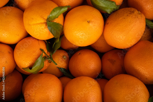 Fresh organic oranges from the intalian market photo