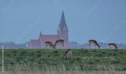 barther kirche photo