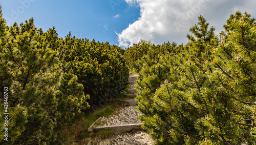Long mountain trail full of stony stairs with panorama if Karkonosze Giant Mountains around