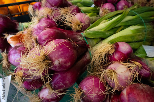Fresh purple onion from the organic market