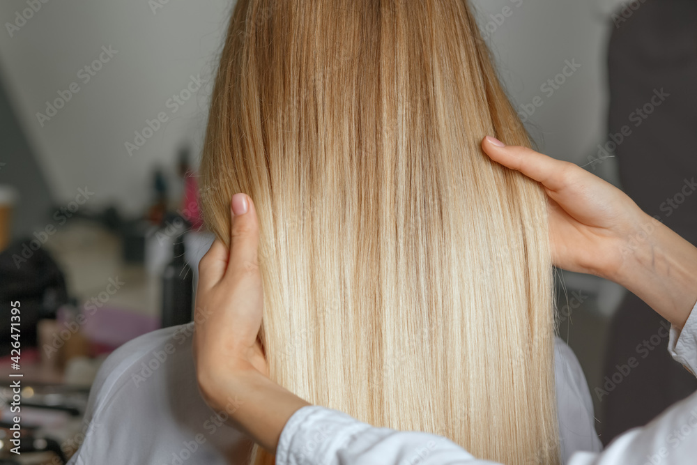 Naklejka premium Hair stylist holding client's straight hair