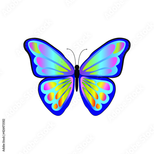  vector multicolored beautiful butterfly blue isolated on white background