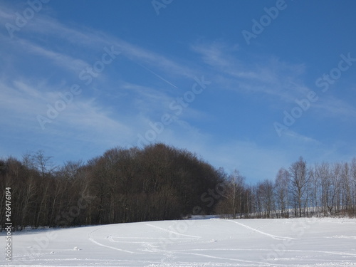 Foto Rural snowscape with trees under blue sky on sunny winter day, Trzepowo, Pomorsk