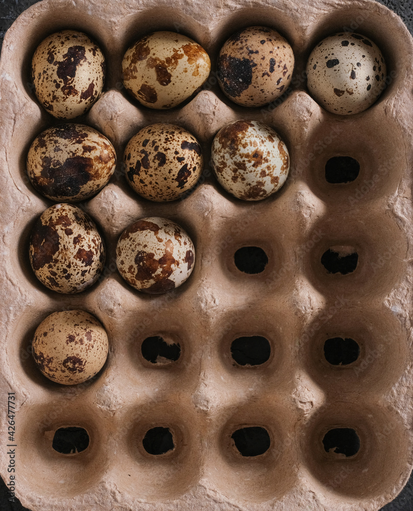Quail eggs in cardboard box. High quality photo Quail eggs in cardboard box. High quality photo