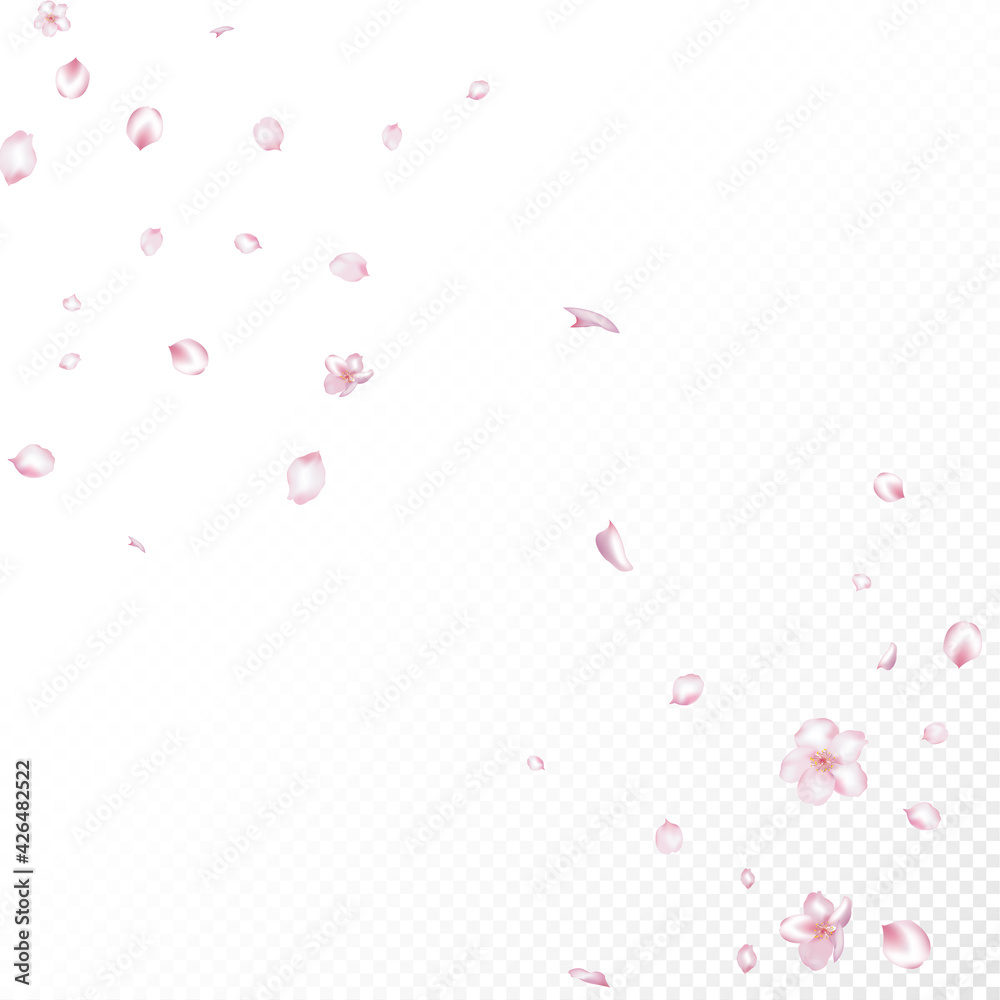 Sakura Cherry Blossom Confetti. Flying Japanese Rose Cherry Sakura Sakura Cherry Blossom Confetti. Flying Japanese Rose Cherry Sakura