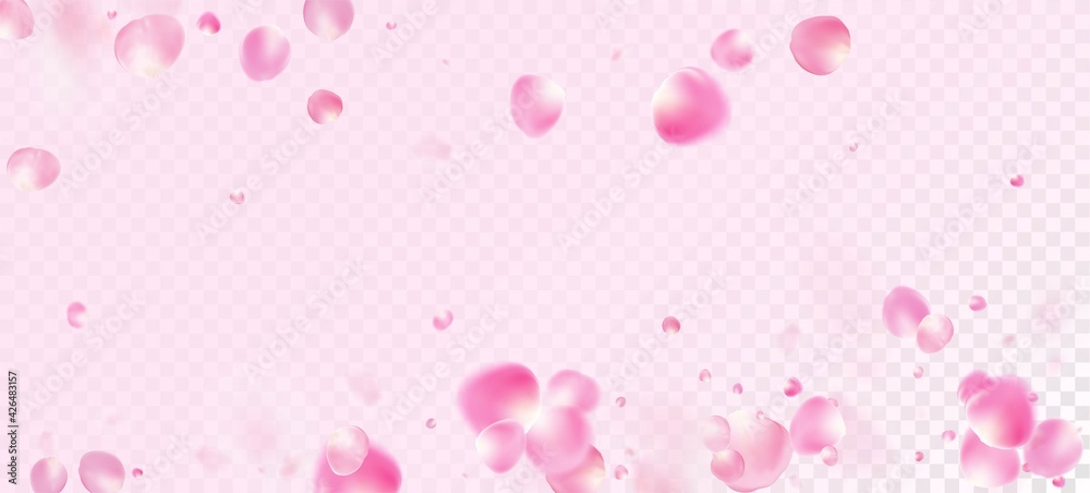 Rose Petals Falling Confetti. Flying Japanese Rose Sakura Cherry