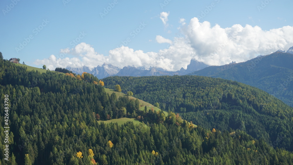 Fototapeta premium Waldlandschaft in den Bergen