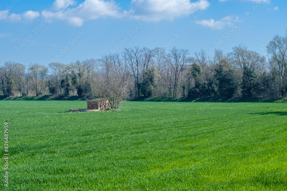 Green meadow field landscape on a blue sunny sky Green meadow field landscape on a blue sunny sky
