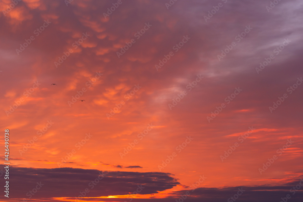 Epic dramatic sunrise, sunset red orange pink sky with two birds in clouds background texture