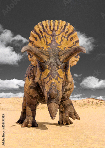 triceratops front attack view