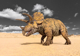 Poster Dinosaurus Triceratops wandelt door het landschap  © DM7