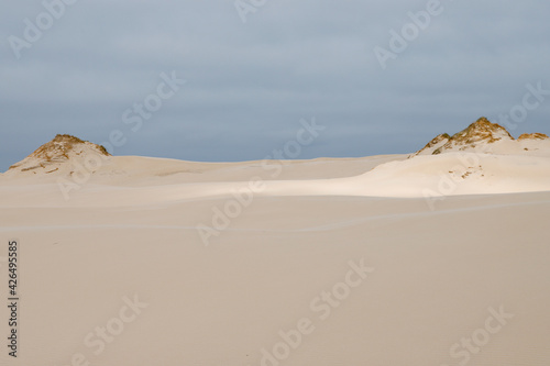 sand dunes in the desert