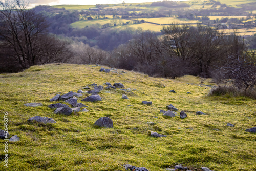 Gray-blue, large stones scattered across the lawn at the top of the hill. Dark trees in the distance and sunny landscape.