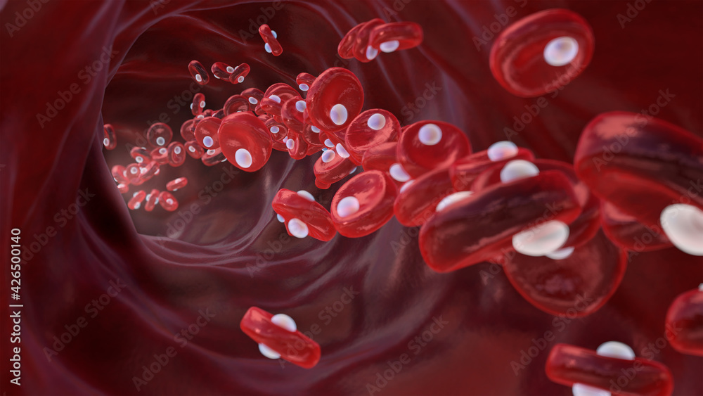 Red blood cells with oxygen molecules, oxygen rich blood, erythrocytes ...