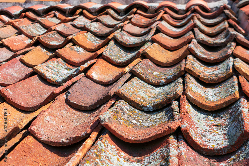 Fototapeta premium Inverted, upside down terracotta roof tiles covered with lichen and moss