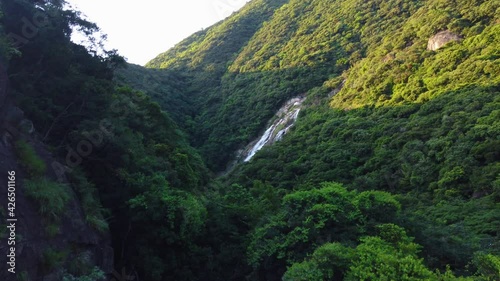 Forest of Yakushima with Ooko Falls in the Background, Tilt Reveal Shot in Japan photo