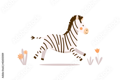 A small zebra in a cute black stripe runs along the road with flowers. Vector flat cartoon illustration with happy kawaii african baby zebra on white background for prints, stickers, cards and textile