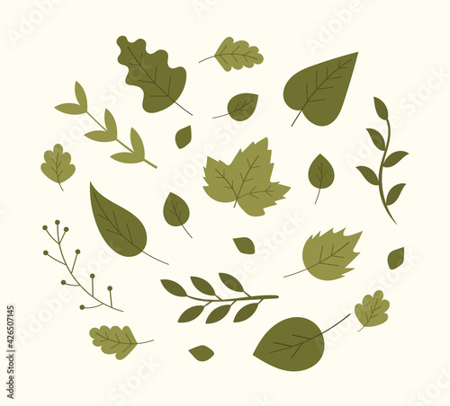Vector elements of nature for landscape and design. Green spring and summer forest leaves. Leaf collection. 