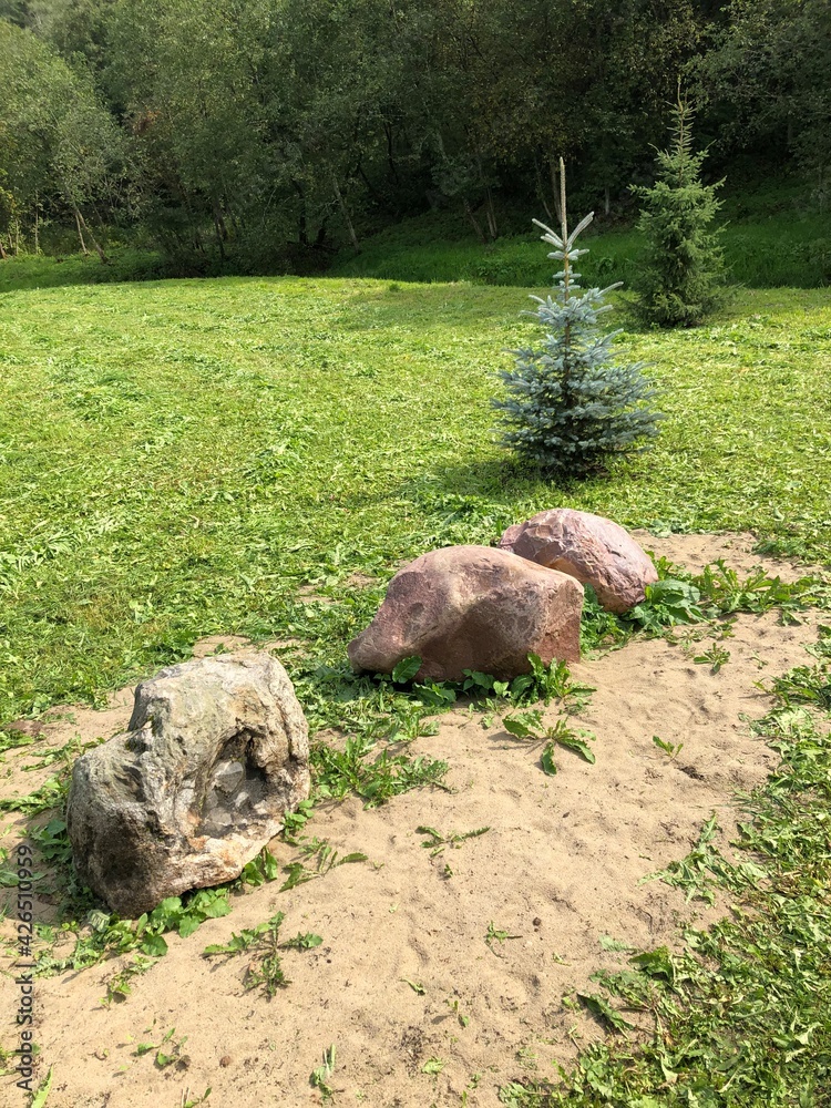 Obraz premium stones on the grass