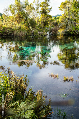 The stunning pupu springs in new zealand photo