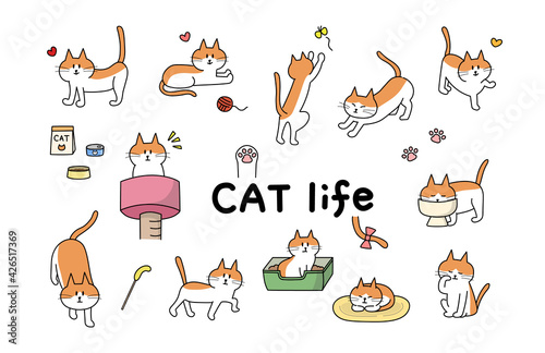 Set of the cat's daily life. Vector illustration isolated on white background.