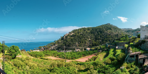 Paisajes de la sIerra de la Tramontana en Mallorca con acantilados, el mar y arboles caidos photo