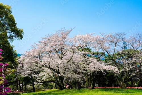 別府公園